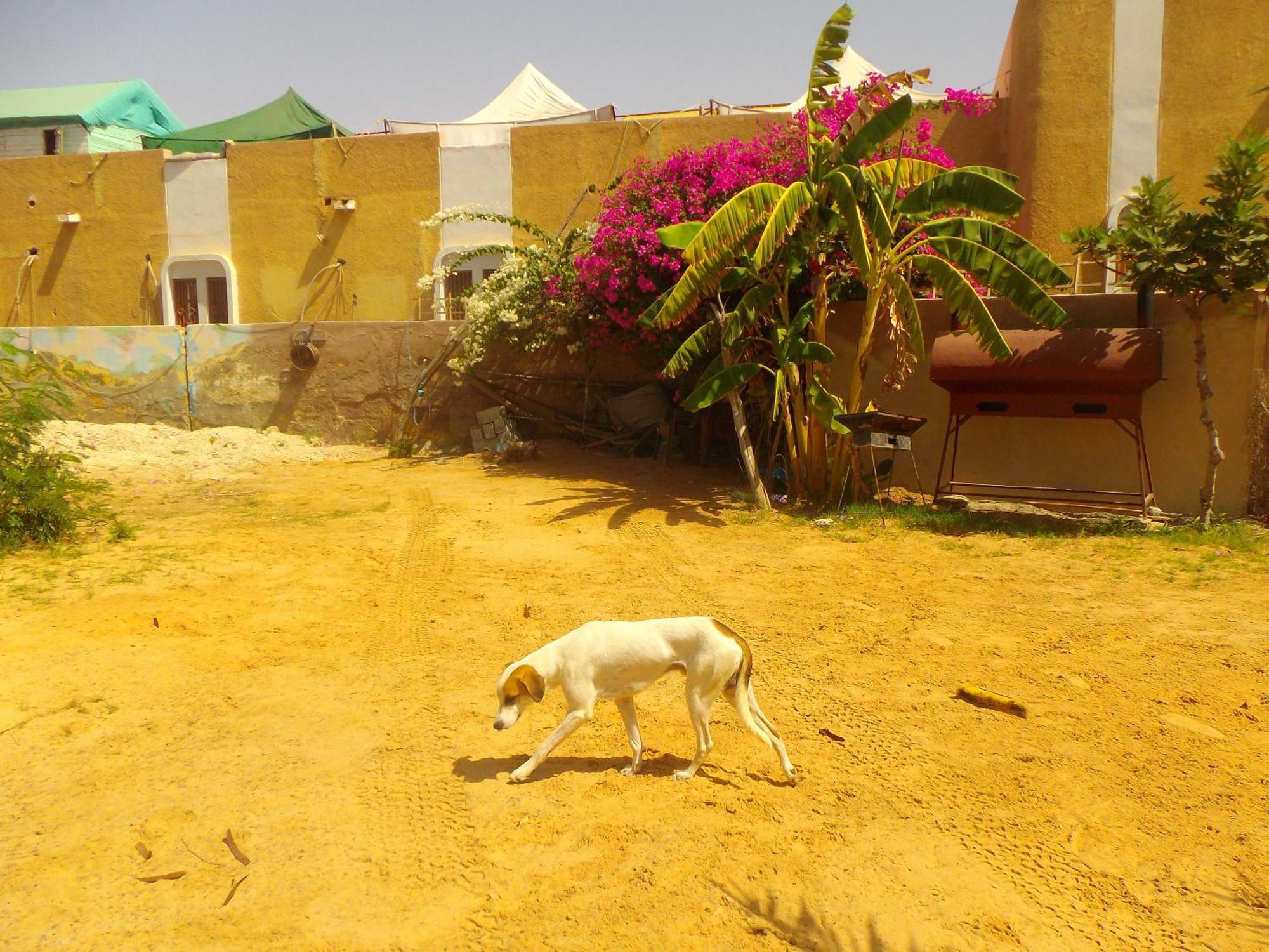 Auberge Triskell Nouakchott Exteriör bild